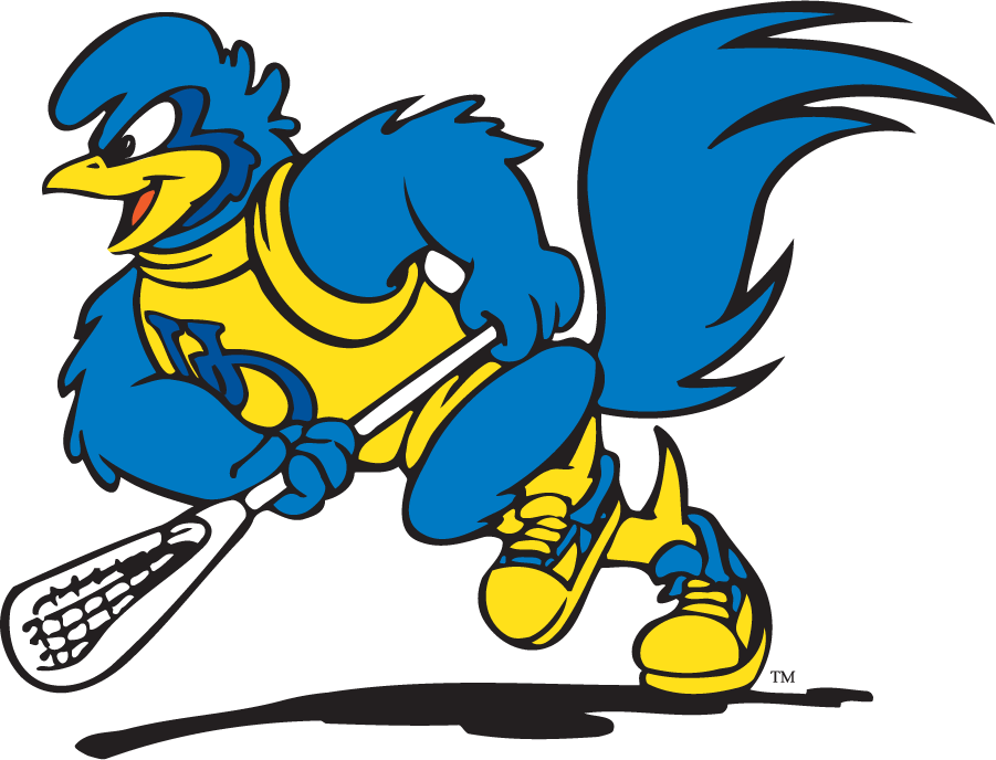 Delaware Blue Hens 1999-2009 Mascot Logo v2 iron on transfers for clothing
